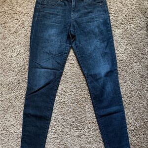 Democracy Dark Blue Skinny Jeans